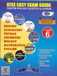 Icse Easy Exam Guide Class-6